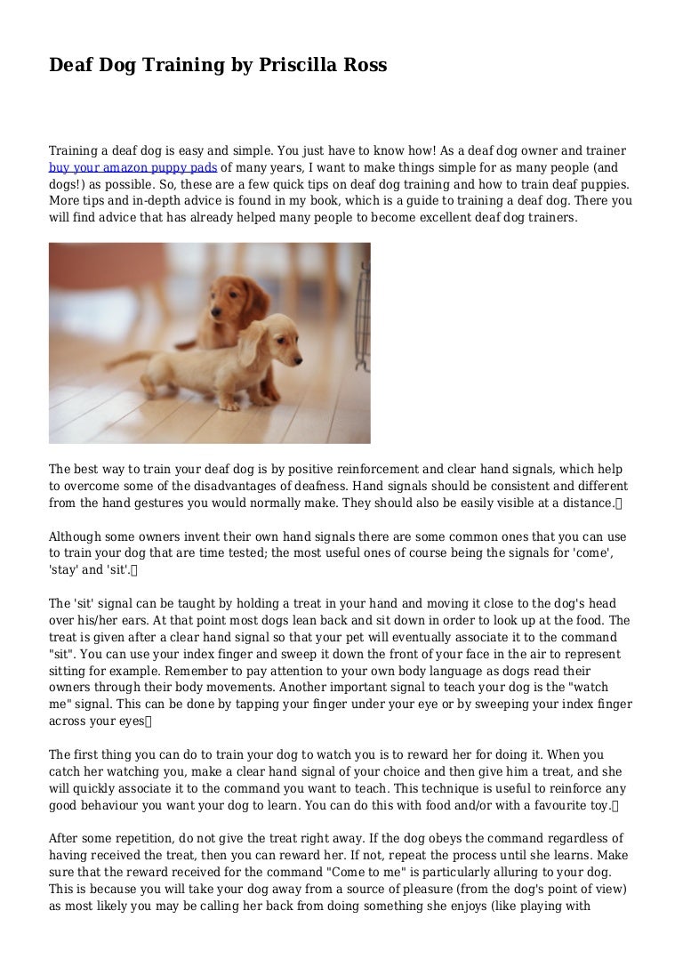deaf dog training