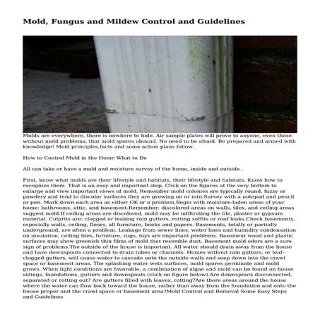 Mold | PPTX