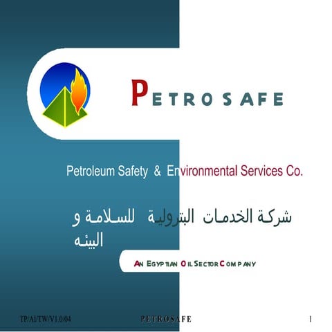 14447962 safety-audit