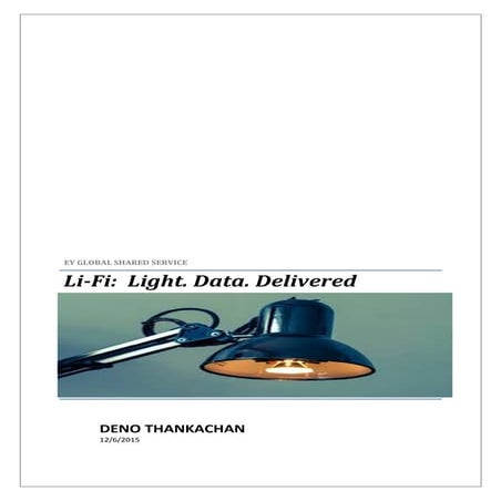 LIGHT FIDELITY - POV