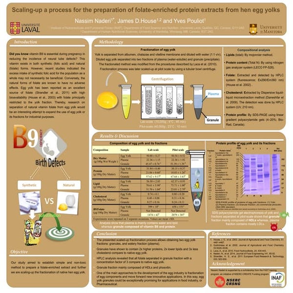 Nassim-Poster-IUFO 2014-Conference