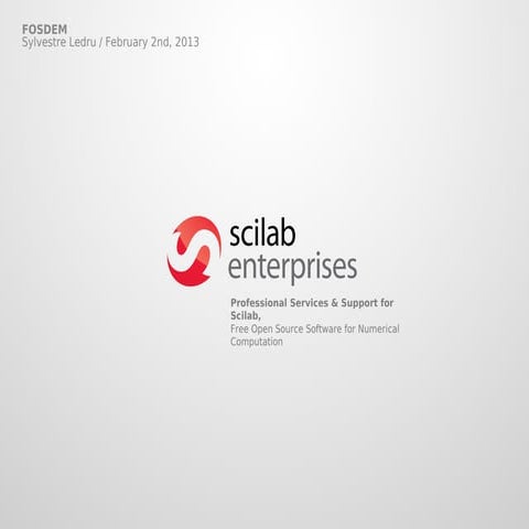 Scilab Enterprises (Numerical Computing)
