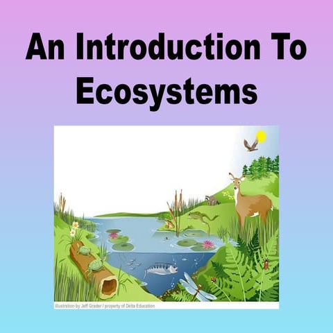 An Introduction To Ecosystems fsdnnn.ppt