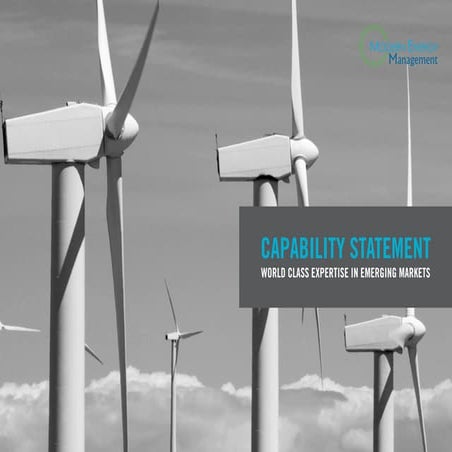 Renewable Energy Risk Assessment | PPTX