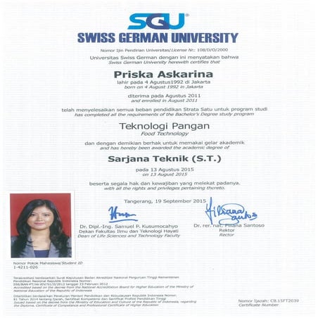 Bachelor Certificate Pdf