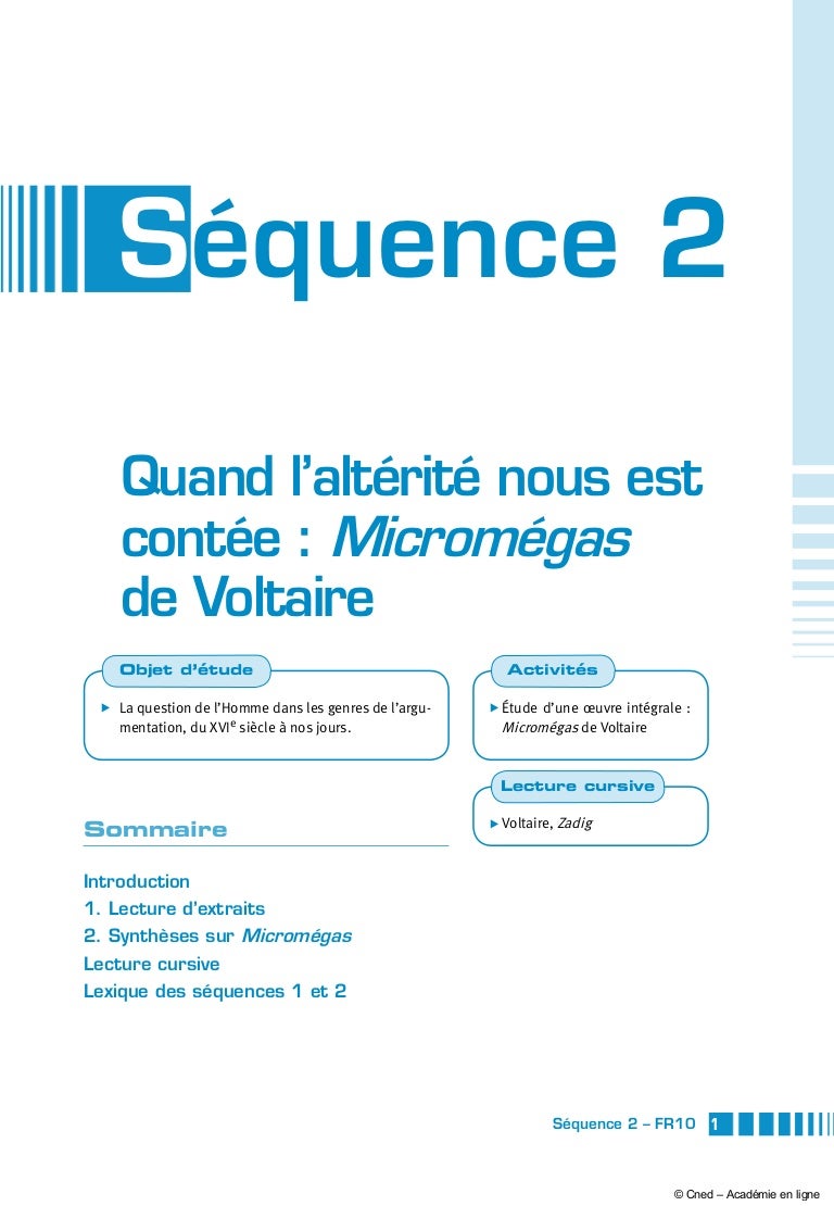 Dissertation candide zadig