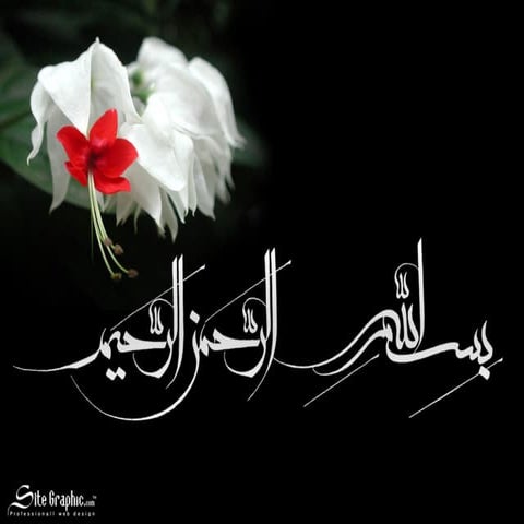 1479284190-dr.majid-vafaiy-platelet-disorders.ppt