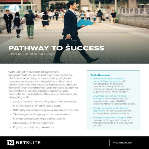 ds-suitesuccess-NetSuite