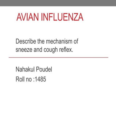 Mechanism of cough and sneeze reflex 