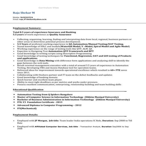 Raja Shekar CV.DOC