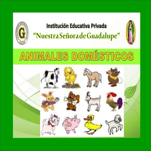 Animales que viven en la tierra | PPTX