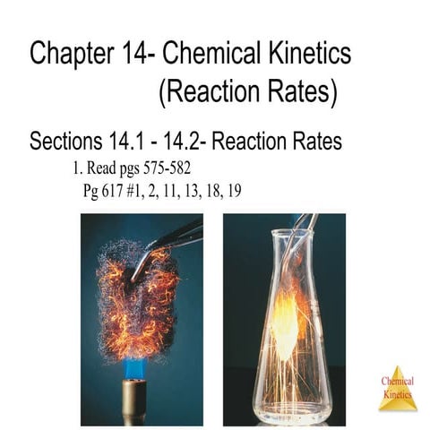 Chapter 14 Lecture- Chemical Kinetics