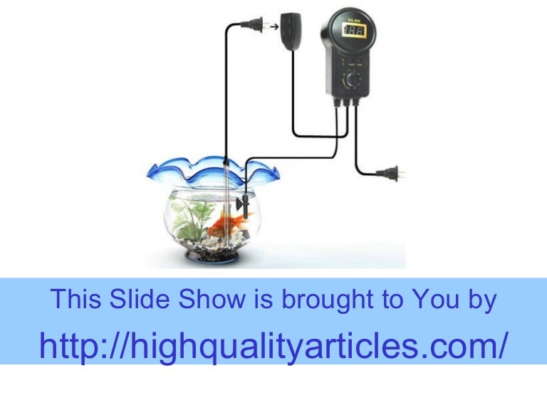 Everything You Need To Know About Aquarium Heaters