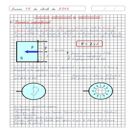 14 capilaridad y tensión superficial