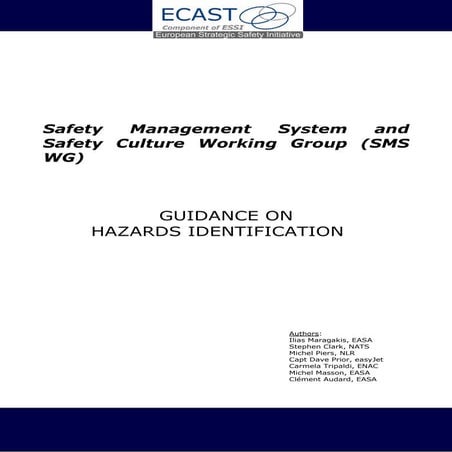 ECASTSMSWG-GuidanceonHazardIdentification