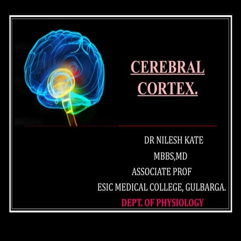 CEREBRAL CORTEX 