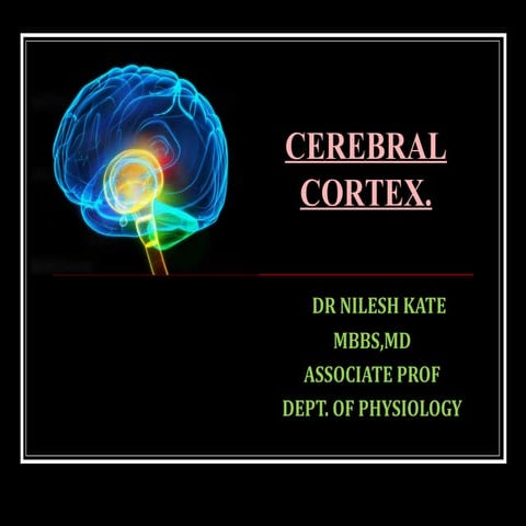 CEREBRAL CORTEX