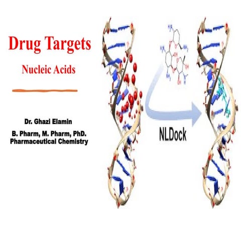 14 Drug Targets (Nucleic Acids).pptx14 Drug Targets (Nucleic Acids).pptx