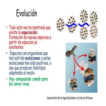 14 Especiación  EVOLUCIÓN Darwin y Ev. GRADUAL Y PUNTEADA.pptx