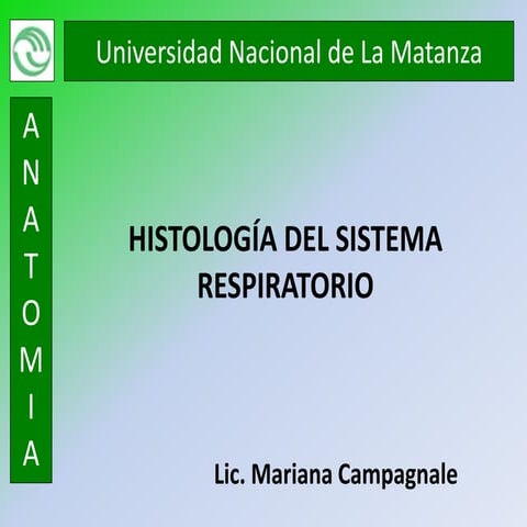 14 histologia del sistema respiratorio