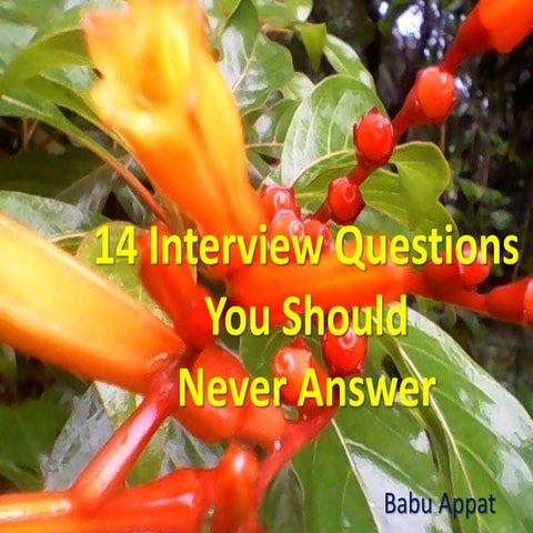 Interview Skills 3- 14 interview questions you should answer in an interview
