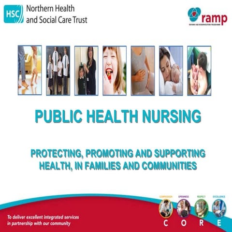 Public Health Nursing