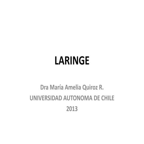 Laringe