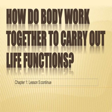 14lesson5 body systems part3