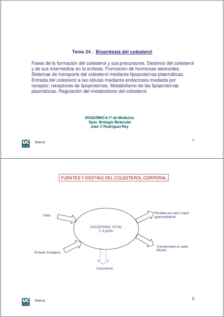 Mejor medicina para activar metabolismo para adelgazar