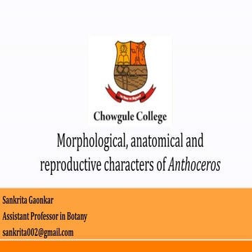 Morphology, anatomy and reproduction in Anthoceros