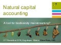Natural capital accounting: a tool for biodiversity mainstreaming?