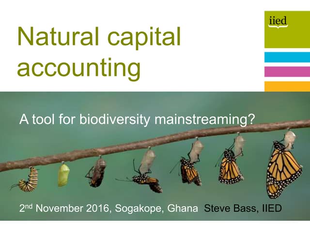 Natural capital accounting: a tool for biodiversity mainstreaming?
