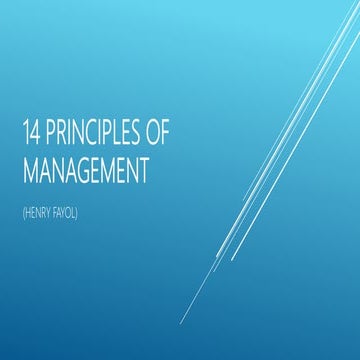 14 principles of management