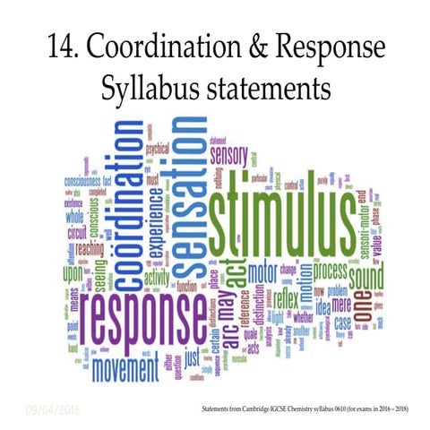 14 syllabus statements