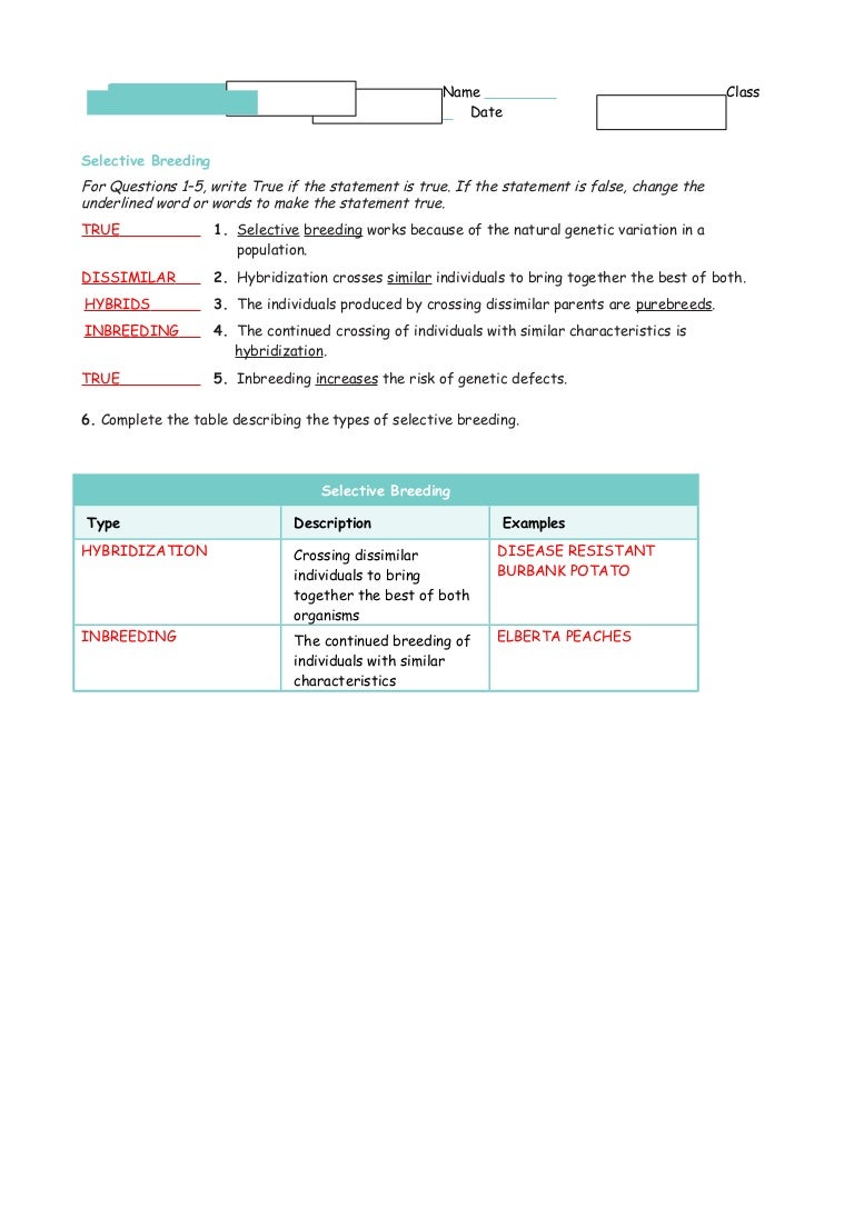 Worksheets Genetic Engineering Worksheet 15 1 3 study guide ans