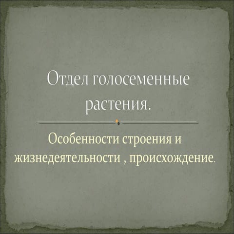 15 урок отдел голосеменные растения