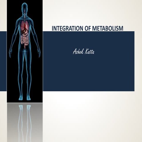Integration of Metabolism