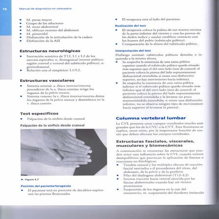 15. columna vertebral lumbar