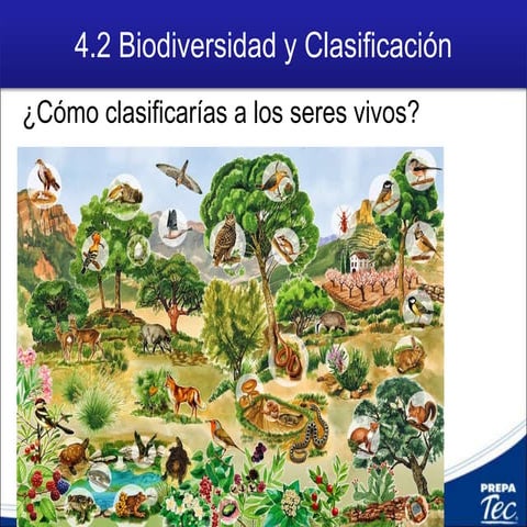 4.2 Biodiversidad