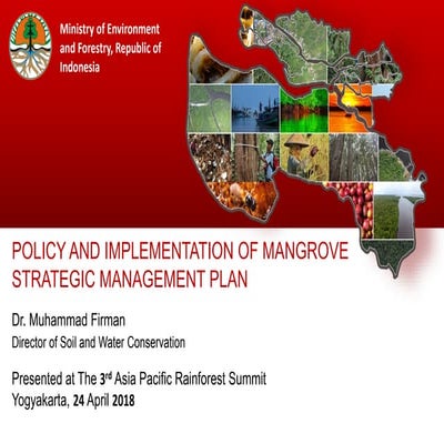 Policy and implementation of mangrove strategic management plan