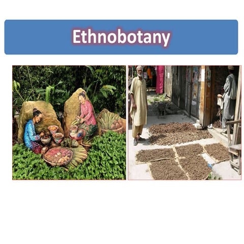 Ethnobotany
