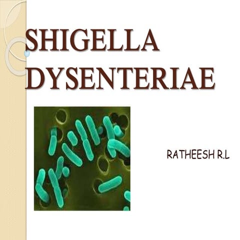 15. shigella