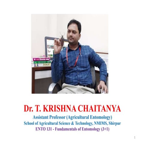 Circulatory system in insects