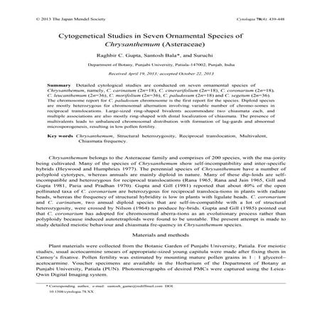 ornamental chrysanthemumpdf