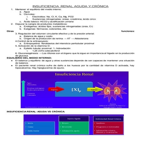 15.2 Insuficiencia Renal.docx