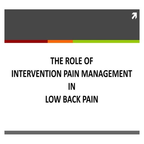 15.The Role of IPM in LBP.pdf