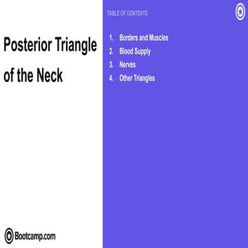 15.Posterior Triangle of the Neck.pdf ana