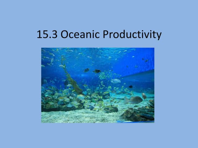 15 3 Powerpoint