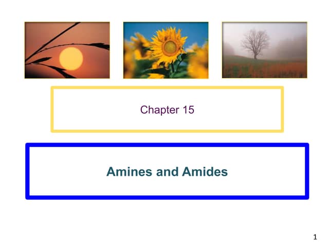 Amines and Amides