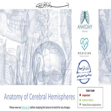 15- Cerebrum and Hemisphers (Edited).pdf